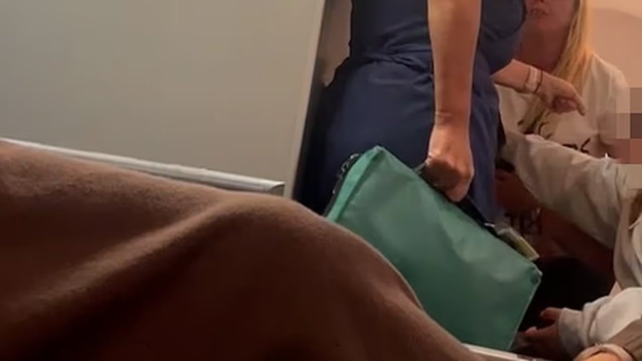 Sherr në avion mes pasagjeres dhe stjuardesës, piloti detyrohet të bëjë ulje emergjente në Kretë. Pamjet bëhen ‘virale’