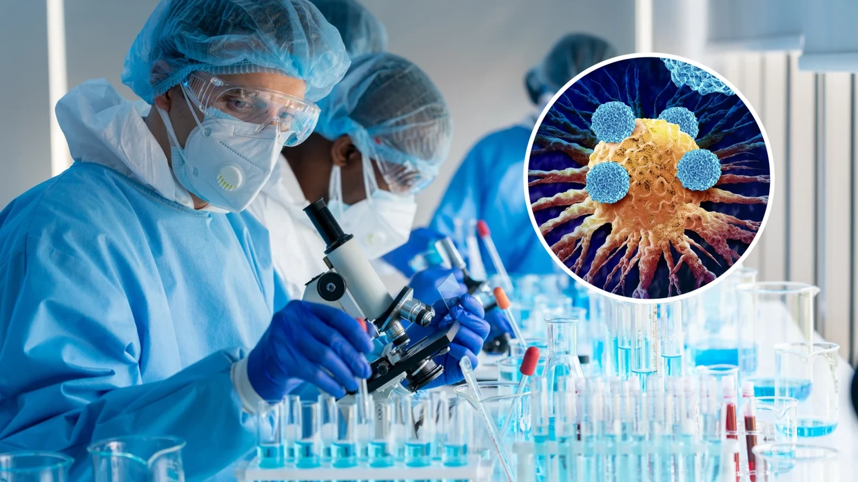 Shkencëtarët identifikojnë ‘çelësin’ imunitar për të ndihmuar trupin të luftojë kancerin