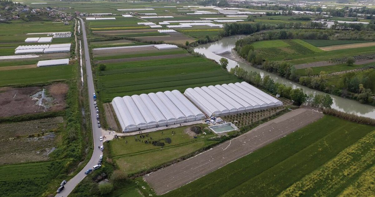 Shqipëria vendi më bujqësor në rajon, por më i prapambeturi në teknologjitë agrare