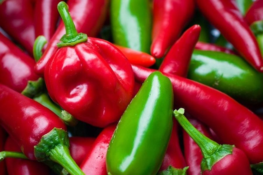 Skandal i përsëritur! Kroacia bllokon specat nga Shqipëria, sërish pesticide mbi normë