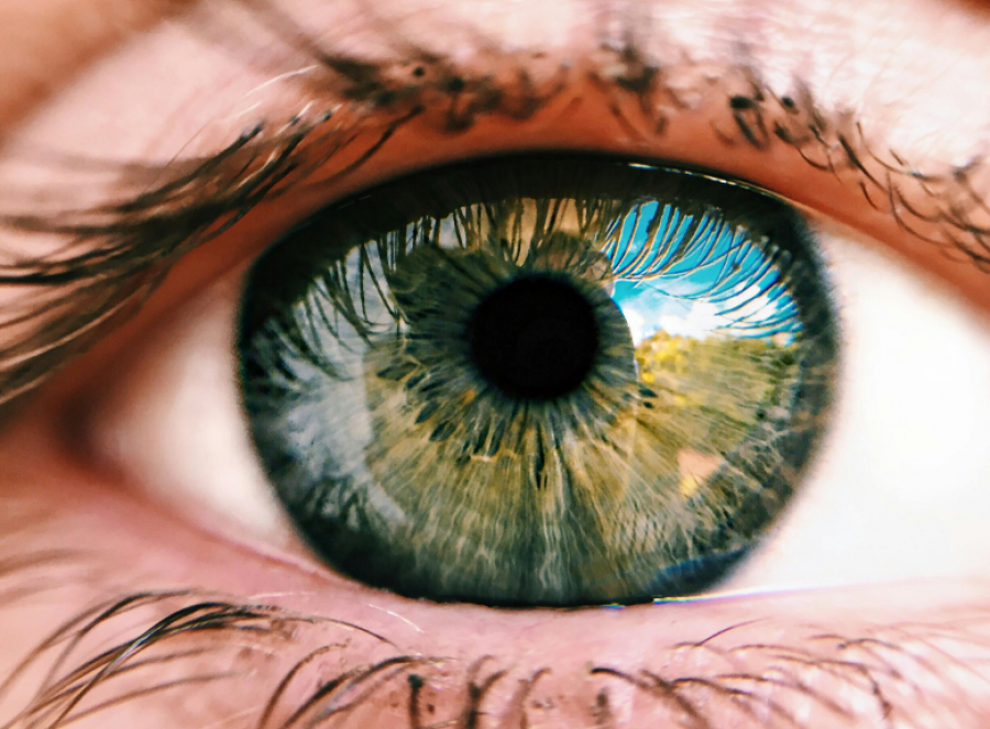 Sytë nuk plaken: misteri i së vetmes pjesë të trupit që mbetet e pandryshuar