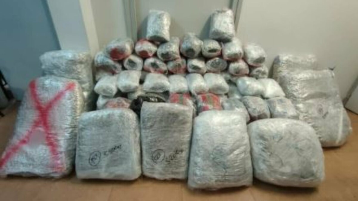 Trafik droge nga Shqipëria në Greqi, kapen 193 kg marijuanë në kufi, shoferi braktis makinën dhe arratiset në këmbë