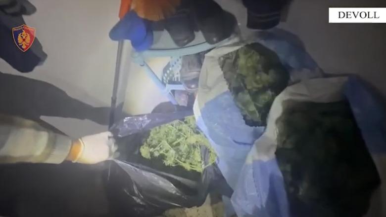Trafik kanabisi nga Shqipëria në Greqi, pranga çifti i bashkëshortëve në Devoll