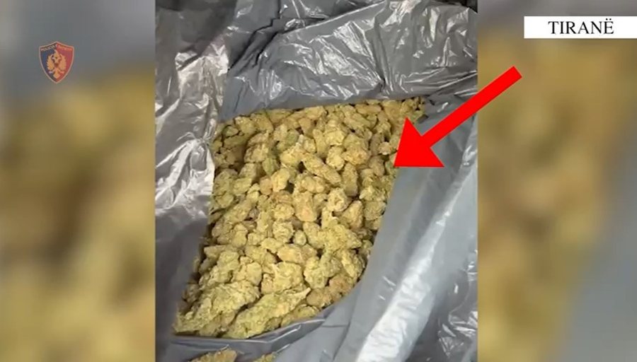 U kapën me 10 kg hashash për shitje, në pranga 2 persona në Fushë-Krujë! Sekuestrohet dhe armë zjarri pa leje