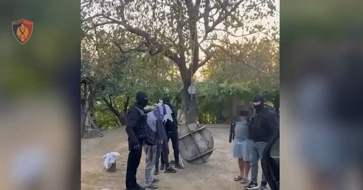 VD-Kapen 40 kg kanabis në Mirditë, arrestohen dy vëllezër dhe një person i tretë (EMRAT)