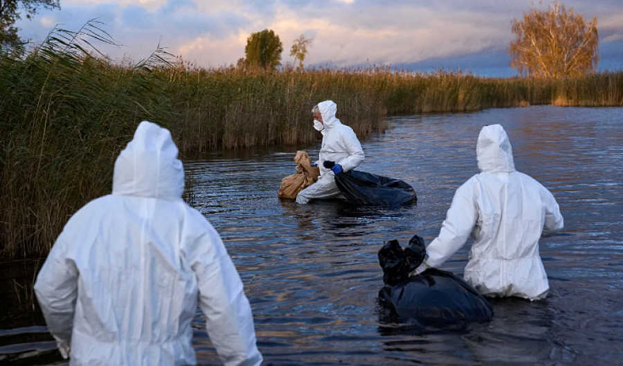 Virologu i OBSH-së paralajmëron : Virusi i gripit të shpendëve ka ‘gjithçka që duhet për të shkaktuar një pandemi’