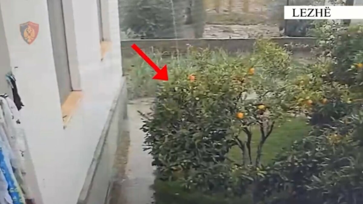 Vodhi bizhuteri në një banesë dhe i shiti në një argjendari, arrestohet i riu në Shkodër