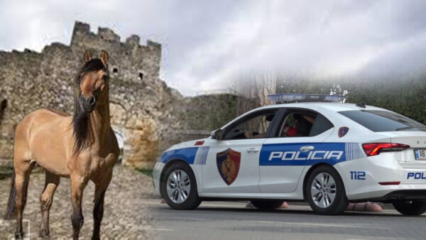 Vrasja e 42-vjeçarit në kalanë e Beratit, ja kush është autori (Foto)