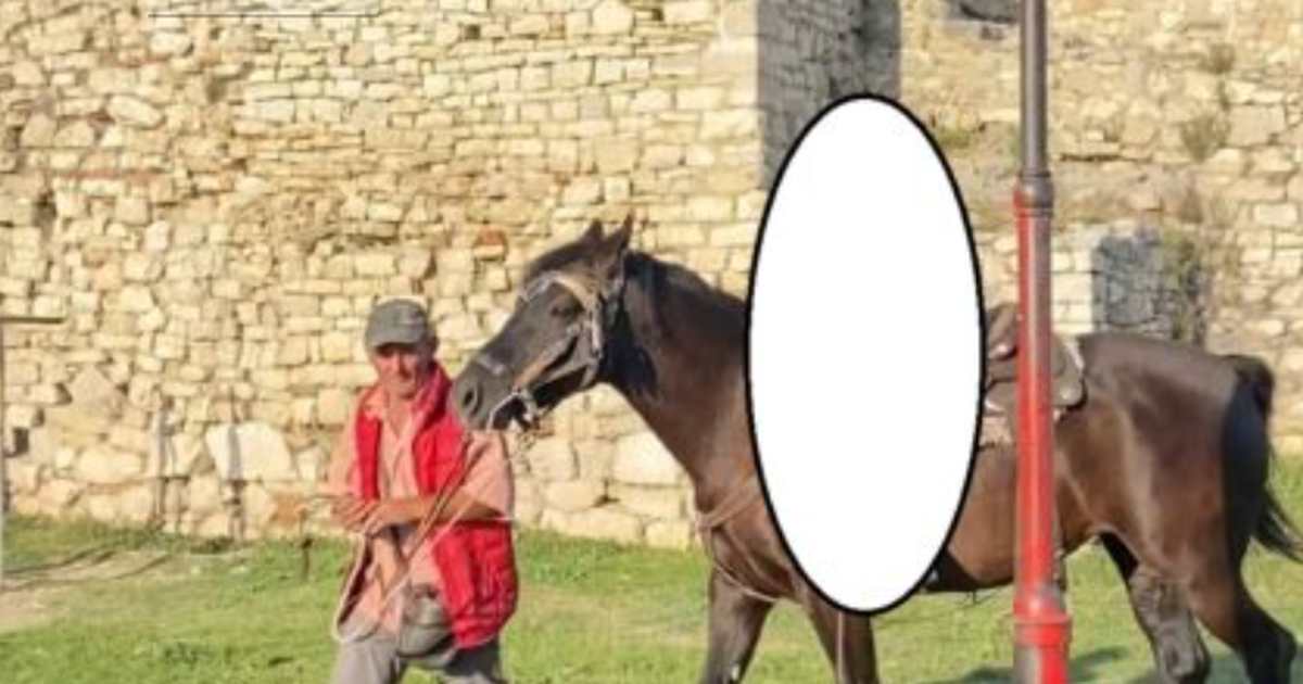 Vrau me thikë turistin për një foto në kalë, arrestohet autori i vrasjes në Berat