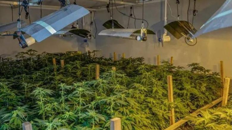 Zbulohet ‘shtëpi bari’ në Bilisht, shoqërohen disa persona!