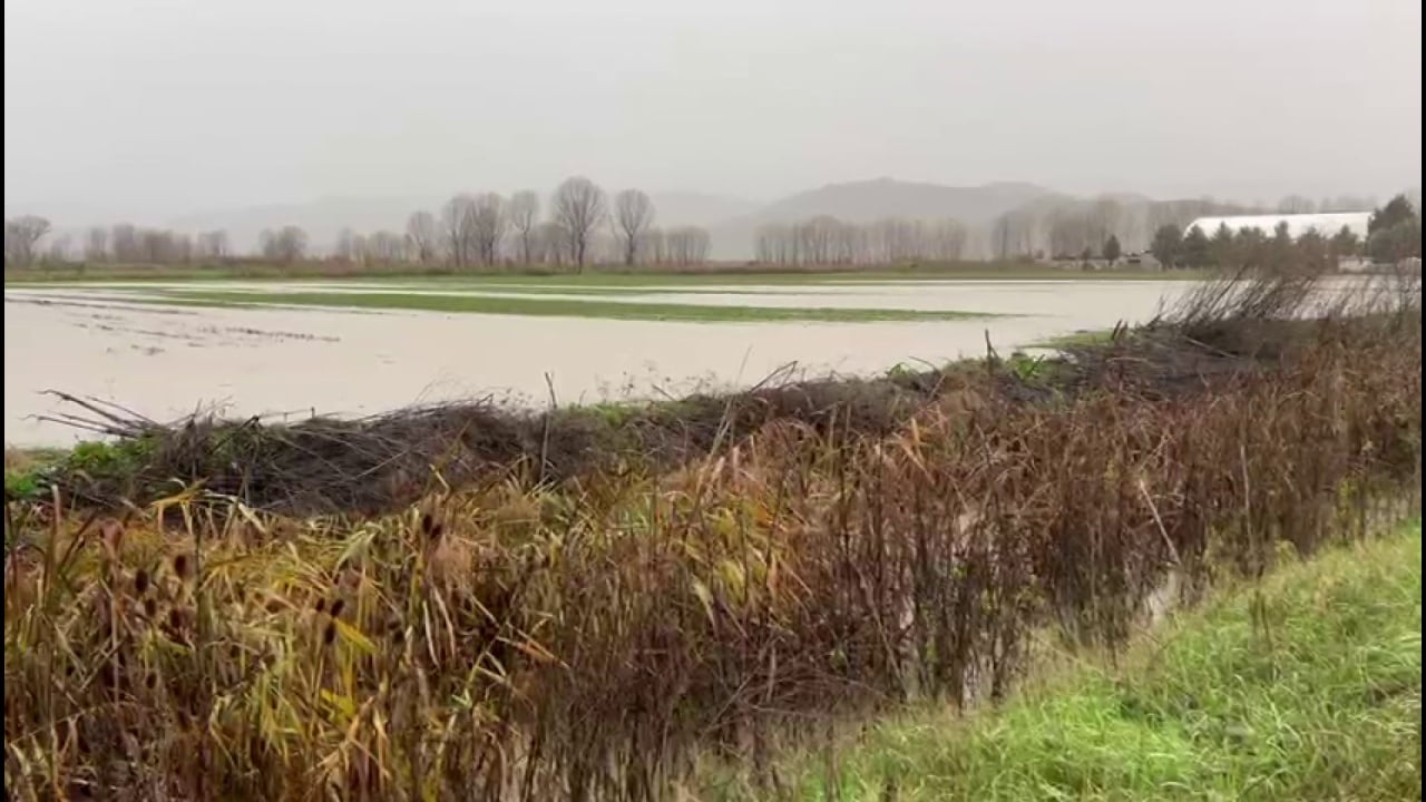 15 hektarë nën ujë, reshjet përmbysin sipërfaqe të mëdha bujqësore në qarkun e Korçës