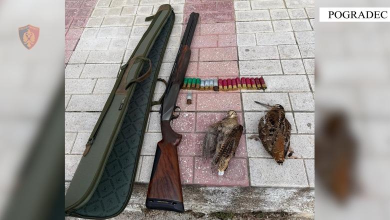 56-vjeçari, ‘bie në hetime’/ Goditet rasti i gjuetisë së paligjshme, gjenden edhe dy…