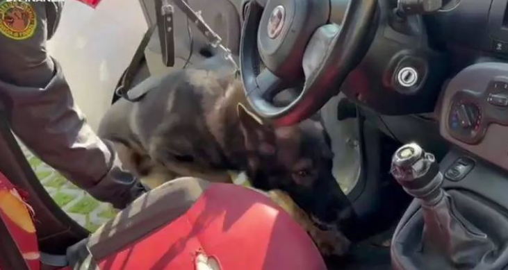 “Alex” i gjen drogën shqiptarit! Dëbohet menjëherë në Tiranë