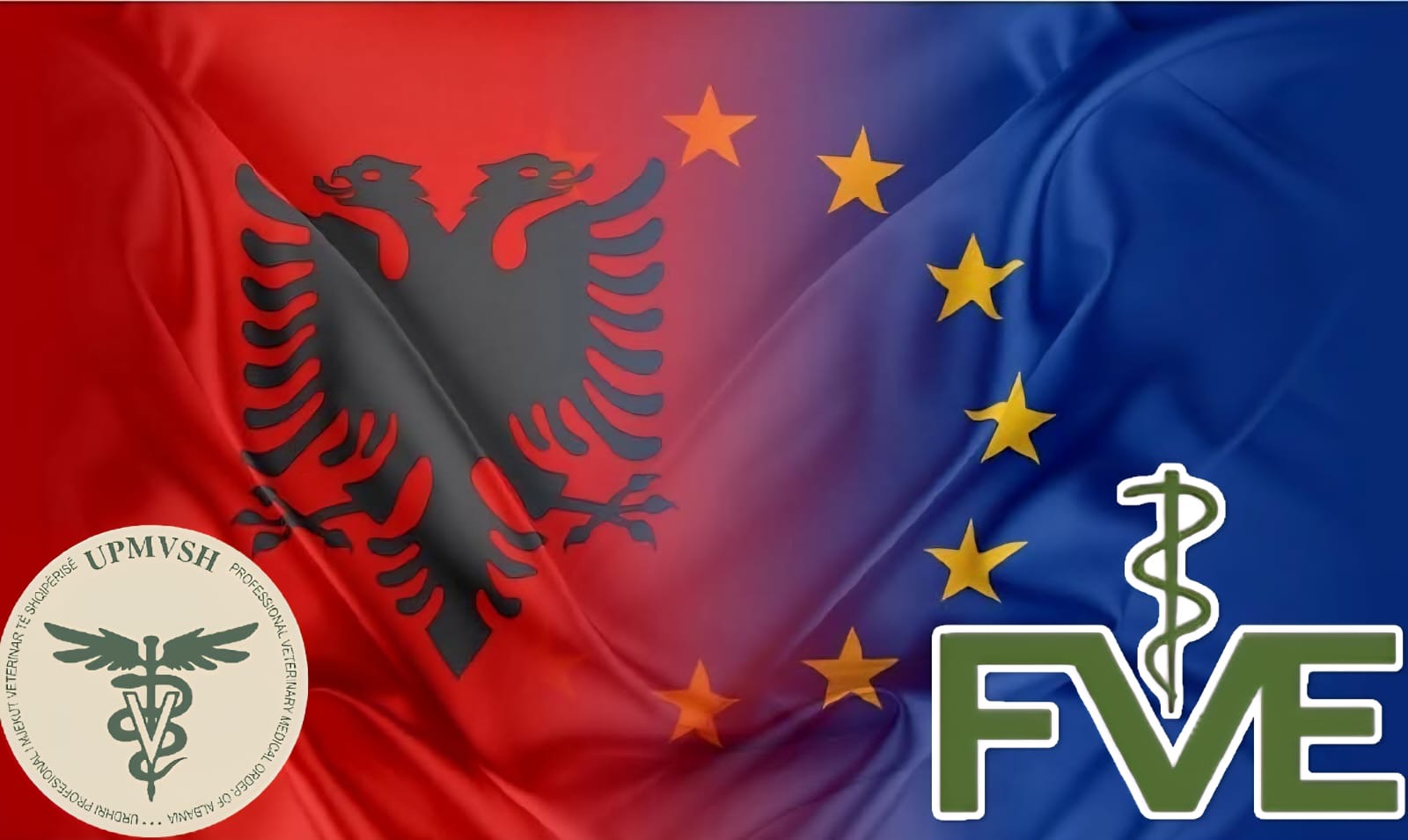 Asambleja e Përgjithshme e FVE 2028 – Për herë të parë në Shqipëri!