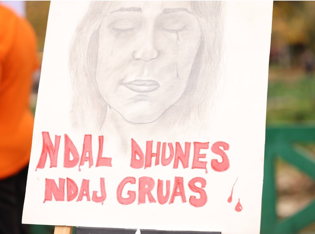 Bashkia Elbasan nis fushatën “16 ditët e aktivizmit kundër dhunës në familje dhe me bazë gjinore”