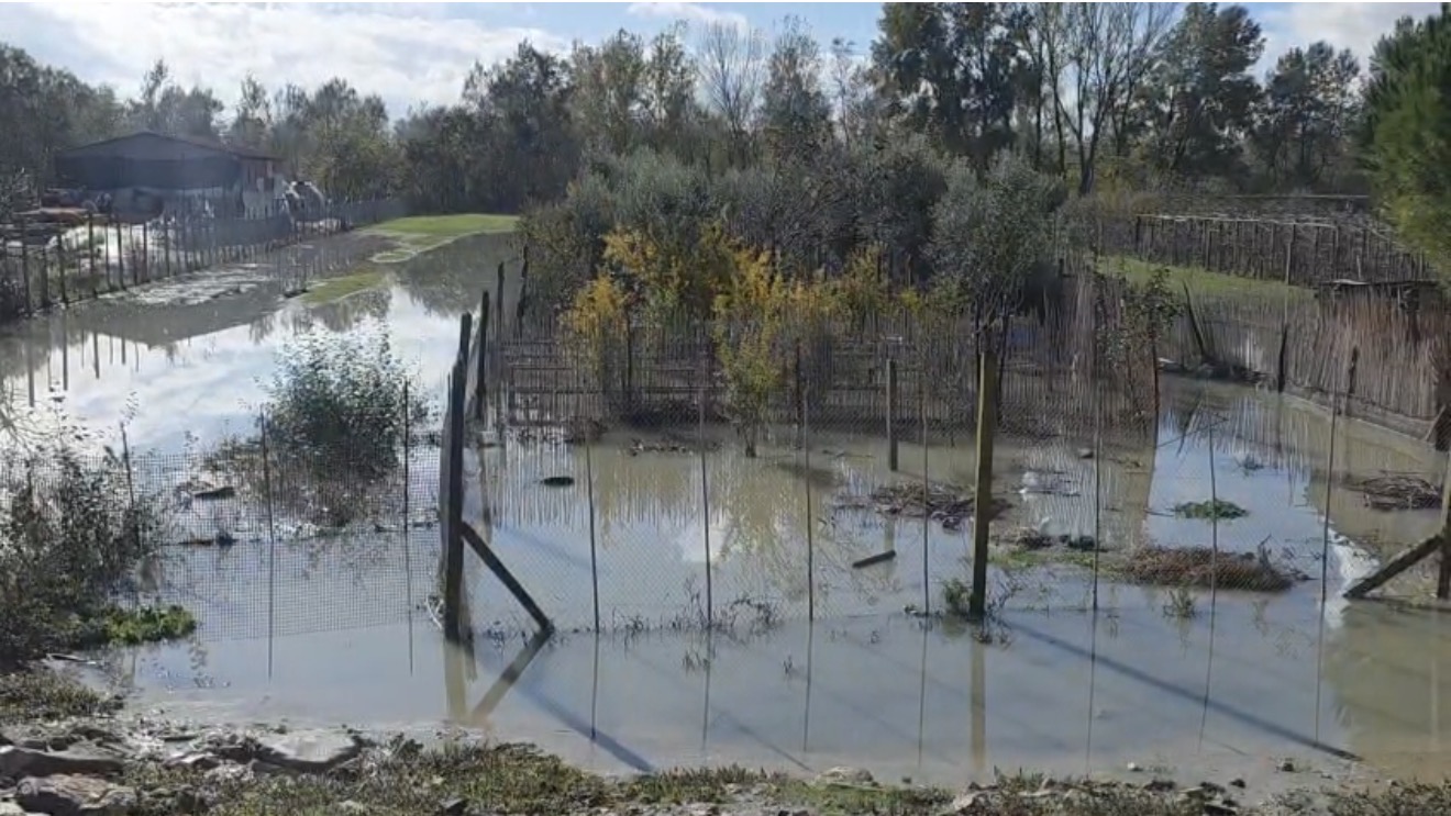 Bien prurjet e lumenjve, nis evidentimi i dëmeve në bujqësi në Qarkun e Fierit