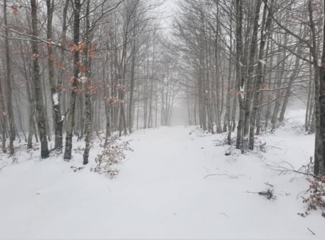 Bora e parë në majën e Bukanikut, në Gjinar