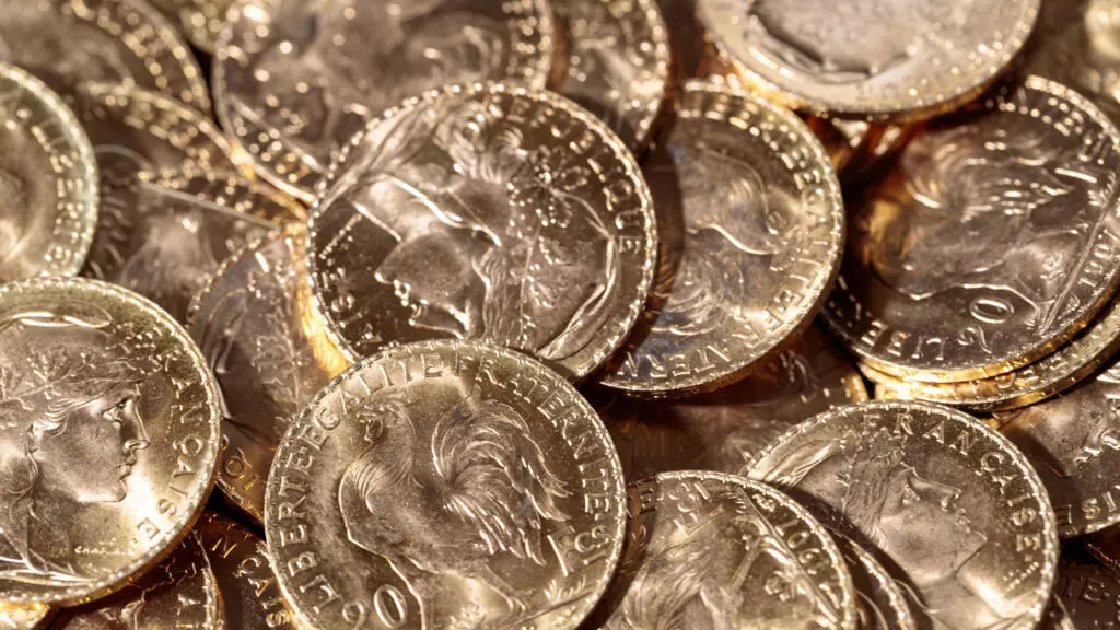 Burri në Francë gjen thesarin me ar në kopshtin e tij