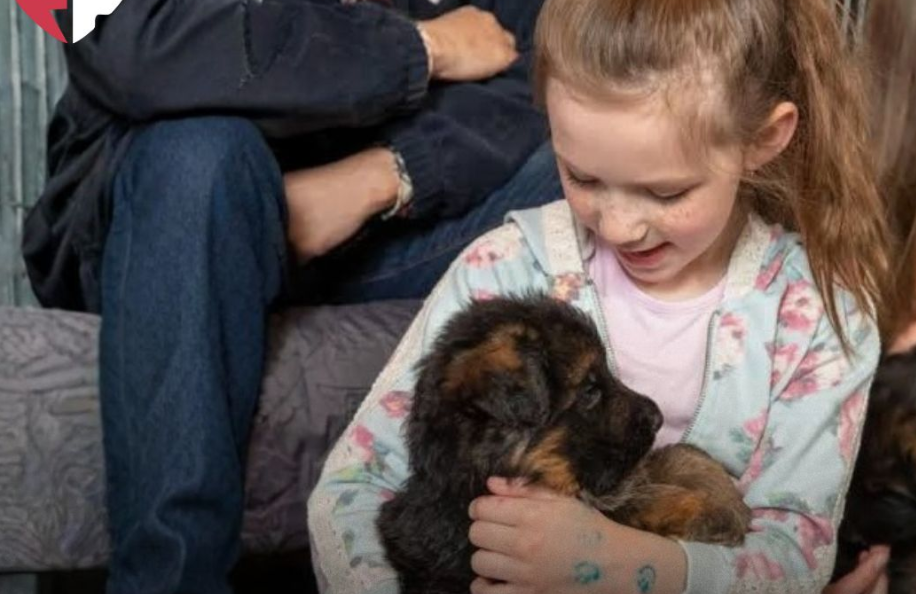 Danimarka me ligj të veçantë, fëmijët nga mosha 6 deri në 16 vjeç duhet të mësojnë në shkolla kujdesin ndaj kafshëve