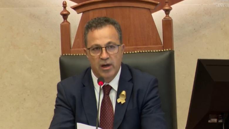 Dita e Pavarësisë, Peleshi: Trashëgimia e themeluesve, udhërrëfyes për të ardhmen