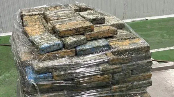 Drejtohej nga një shqiptar, “çmontohet” rrjeti i trafikut të kokainës/ Sekuestrohen mbi 9 ton drogë në dy portet spanjolle