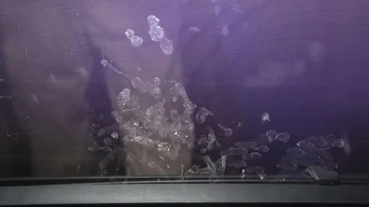 E rëndë/ 2-vjeçarja humb jetën pasi makina shpërthen në flakë, babai e harroi në mjet teksa shikonte video për të rritur