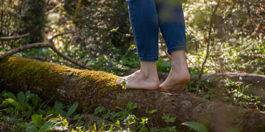 Ekoterapia e integruar në kujdesin shëndetësor mund të përmirësojë shëndetin mendor
