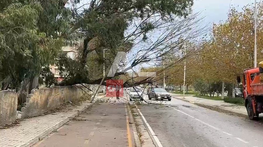 Era e fortë në Vlorë rrëzon pemët, bllokohen disa segmente rrugore