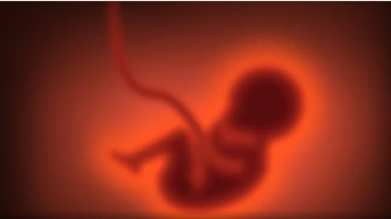 Fëmijë me porosi, në SHBA plasin polemikat për start-up e gjenetikës