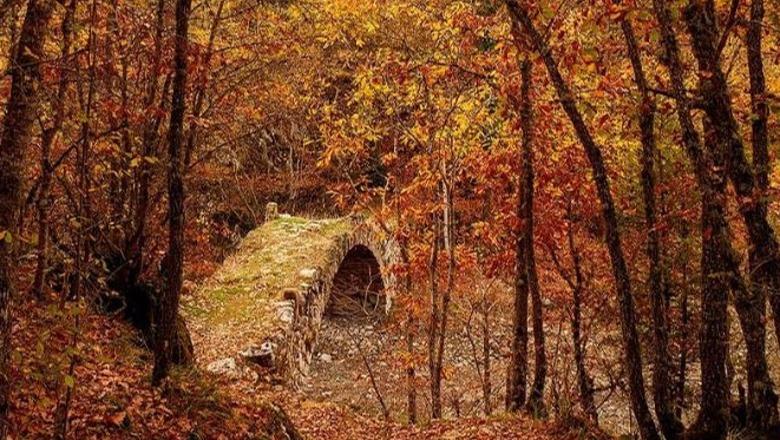 Fotolajm/ Borova në Kolonjë, ‘vishet’ me ngjyrat magjike të vjeshtës