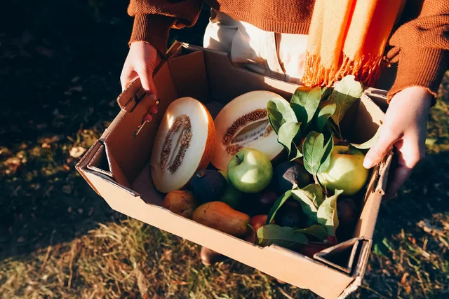 Hani këtë frut para gjumit për të ulur kortizolin dhe për të përmirësuar gjumin