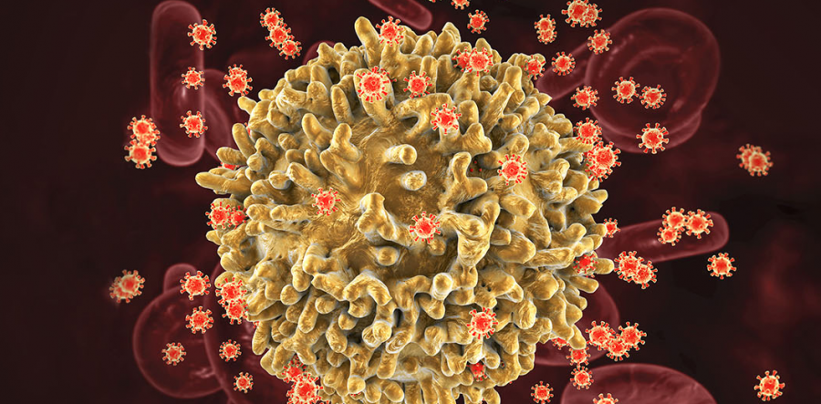 HIV në kontroll/ Eksperimentet me antitrupa hapin rrugën drejt kurës funksionale