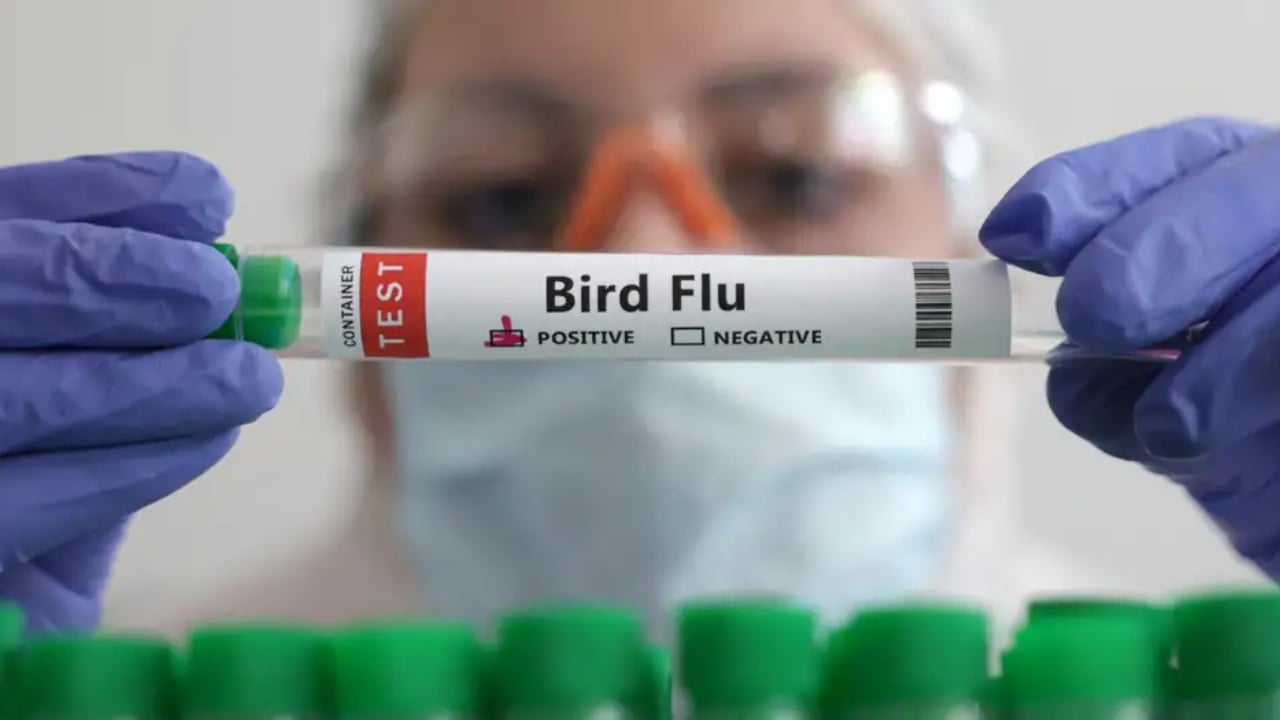 Humb jetë një person nga gripi i shpendëve në Uashington, rasti i parë i variantit të ri H5N5