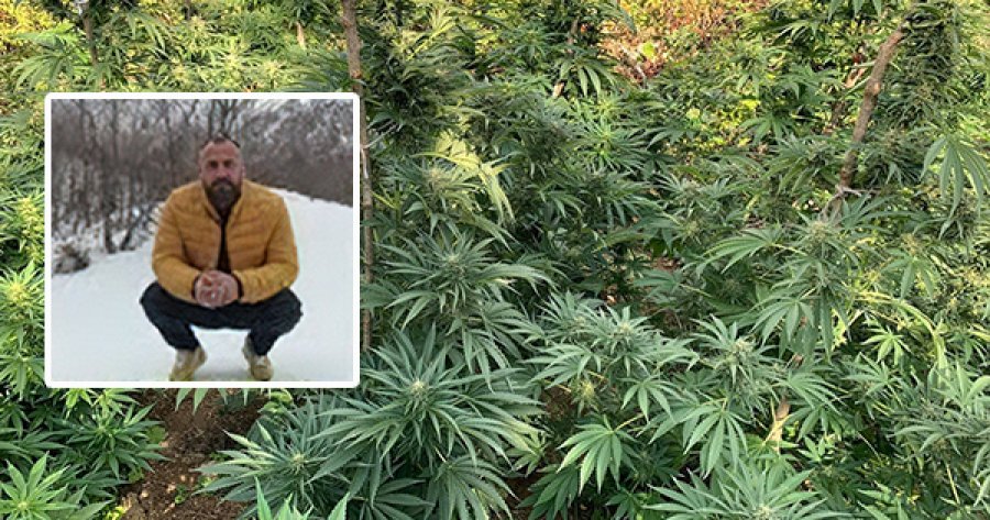 I biri u gjet i pajetë në humnerë, familja Çokaj kallëzim në AMP për 4 efektivë që raportuan rastin si aksident