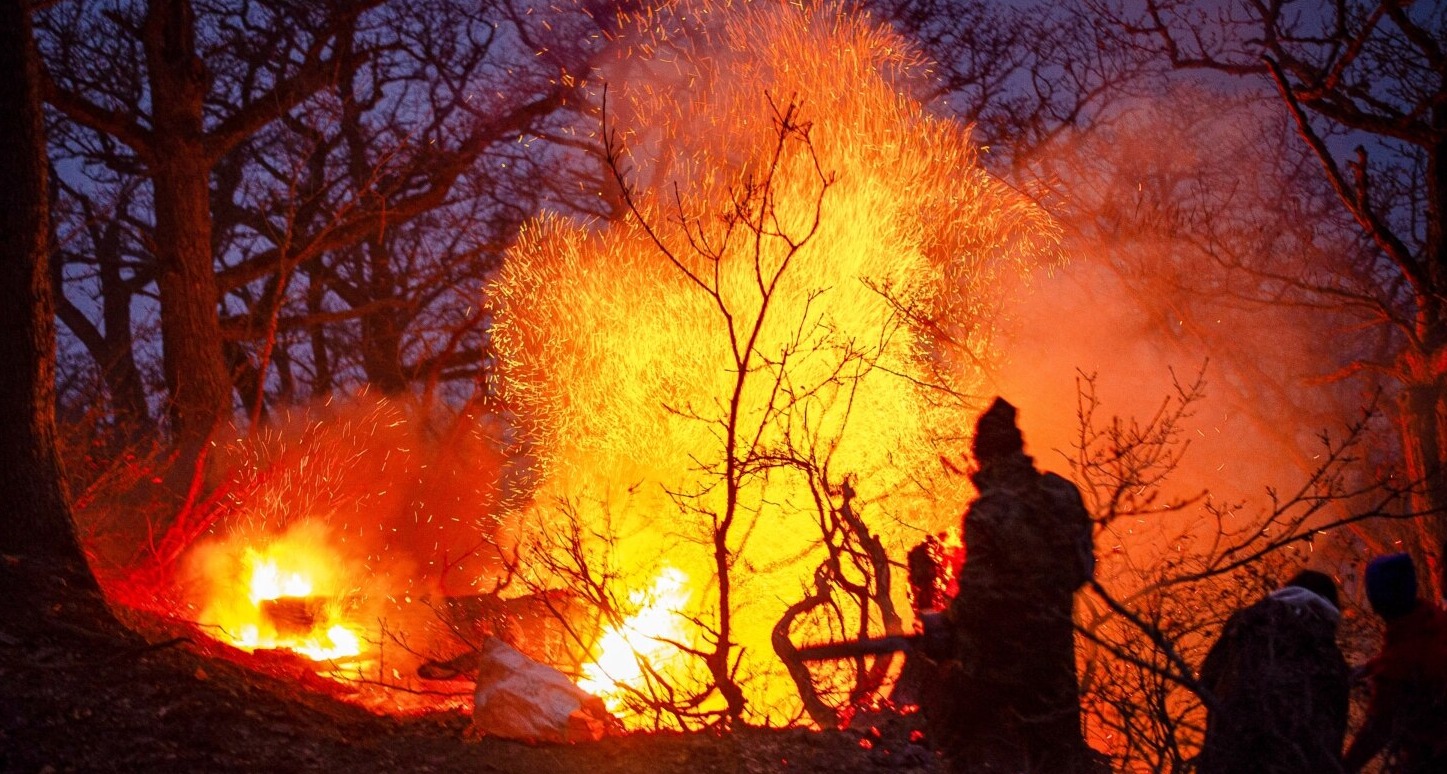 Irani kërkon ndihmë urgjente për luftimin e zjarrit në pyjet e veta antike