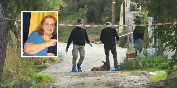 Krim horror/ Nusja e varur nga kumari masakron vjehrrën për t’i grabitur paratë