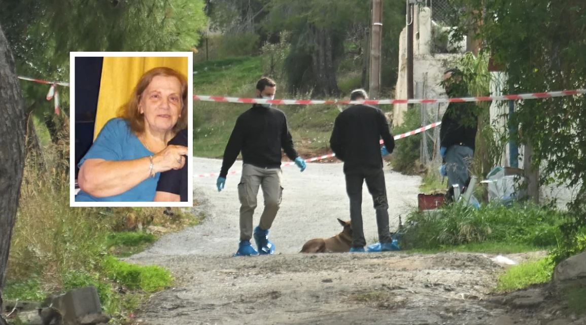 Krim monstruoz, nusja masakron vjehrrën për vdekje teksa e grabiti për të shlyer borxhet e kumarit!