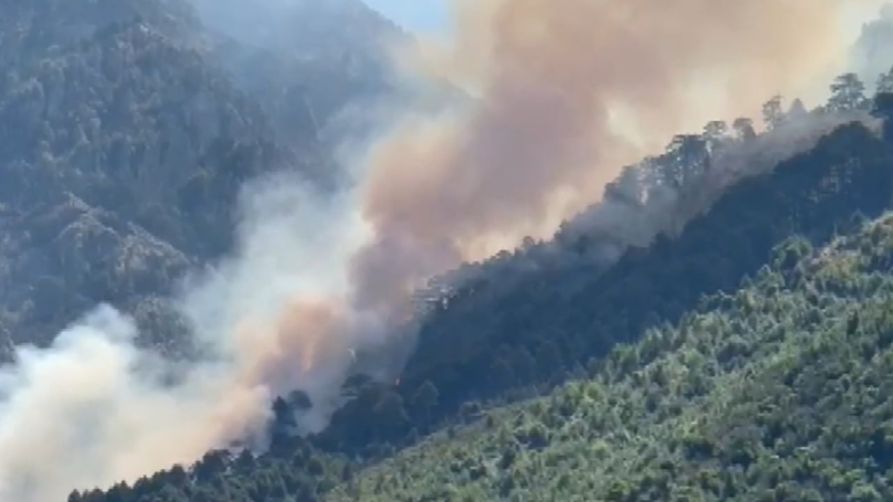 Krimet mjedisore kalojnë pa ndëshkim, statistikat zbulojnë: Mbi 70% e procedimeve penale nuk fillojnë fare, ose mbyllen gjatë rrugës