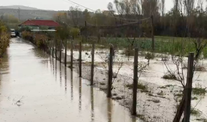 Lezhë/ Banesa dhe toka ende nën ujë, banorët përballen me vështirësi pas përmbytjeve