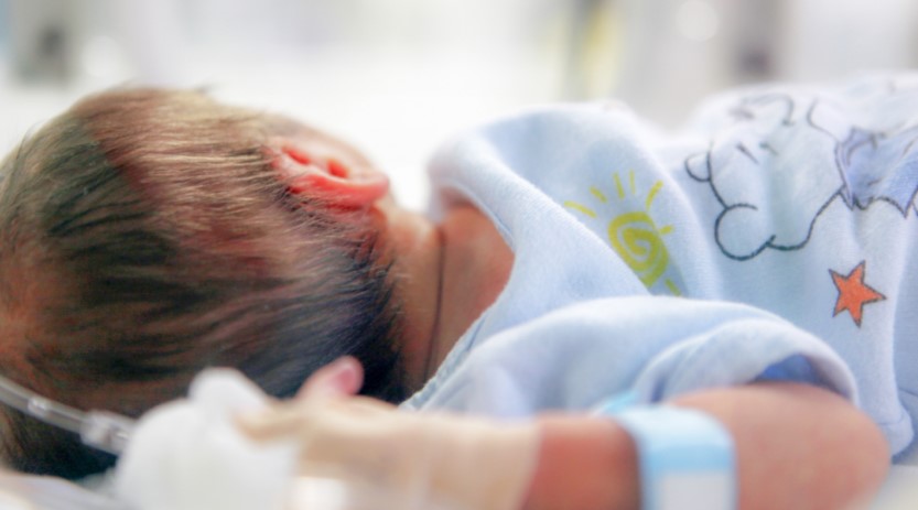 Lindjet bien, popullsia në rrezik për shkak të emigracionit dhe krizës ekonomike