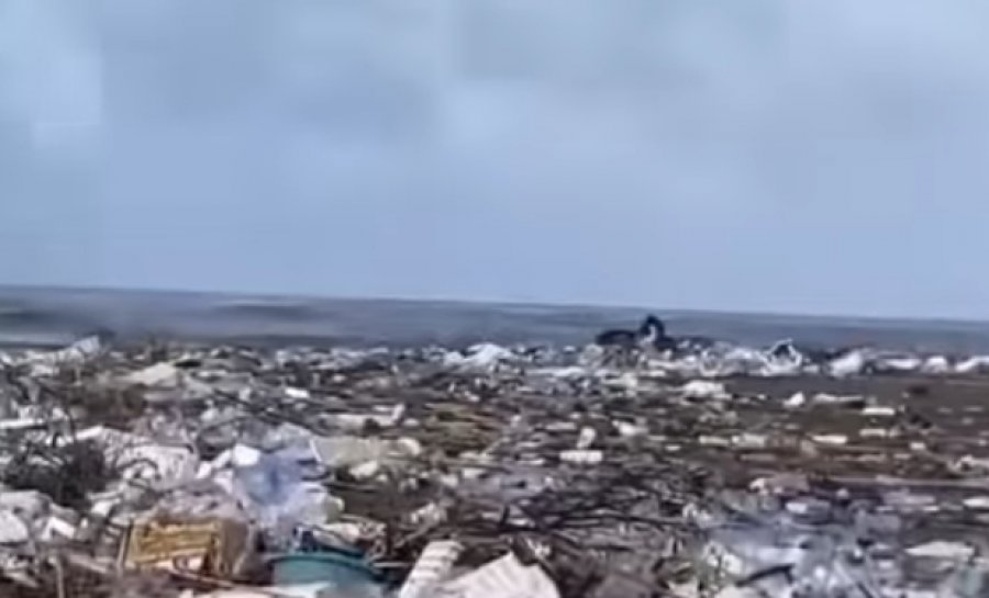 Luan Baçi denoncon kaosin në Fier: Përmbytje, ndotje në Seman dhe heshtje skandaloze nga institucionet