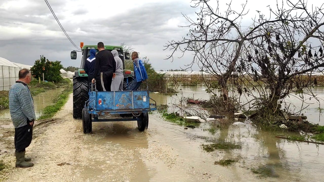 Lumi Seman doli nga shtrati, shkatërrohen mijëra hektarë sera të mbjella me perime, banorët: Dëmet arrijnë në miliona
