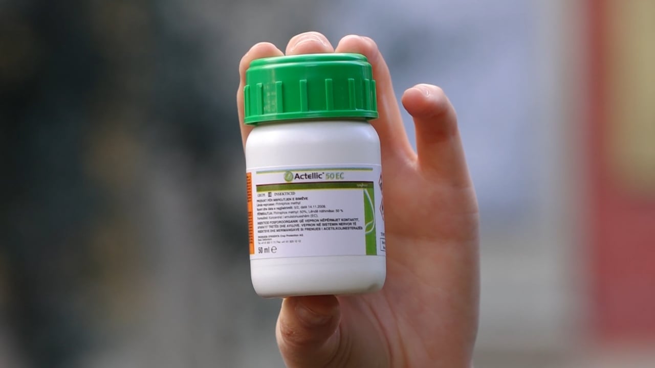 Mandarinat me helm, AKU hesht/ Analizat konfirmojnë se sasia e shitur në Tiranë ishte kancerogjene