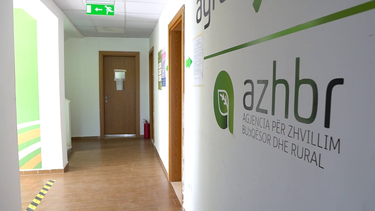 Manipulonin numrin e matrikujve për përfitime personale, Gjykata e Korçës pezullon nga detyra inspektorët e AZHBR-së