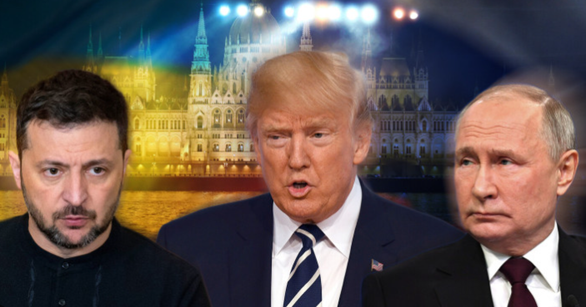 Mes ‘stuhisë’ diplomatike…Zelensky gati të pranojë planin e paqes, Trump nis të dërguarin e Posaçëm në Moskë!