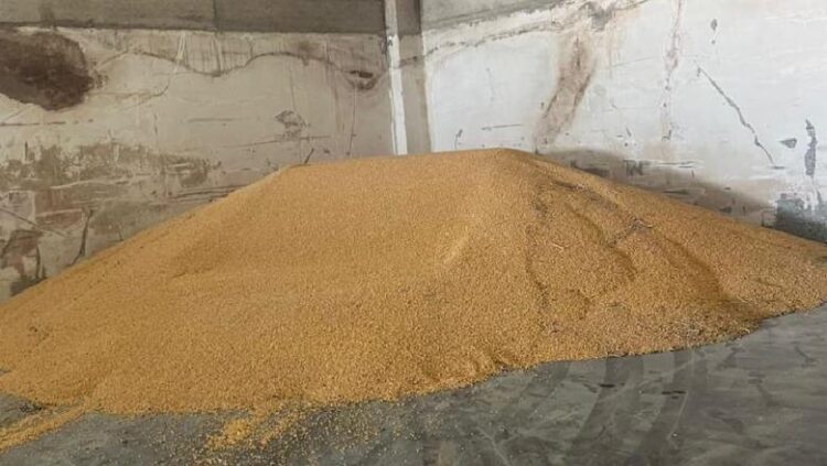 Misri serb, bllokohen 520 ton të tjera në doganën e Hanit të Hotit