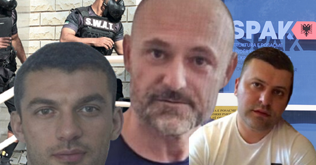 ‘Numër 1 burrels’! Si kalonte kokaina?-Bisedat mes Dervishajt, Alibejt dhe Hoxhosmanit: Ekuador, me paleta drush, fat leshi…