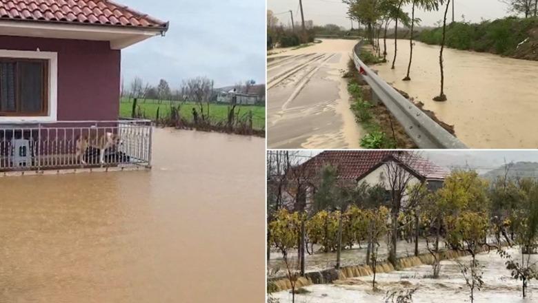 ‘Paralizohet’ vendi/ Përmbytje në Kurbin e Milot, prani uji në 62 banesa, lumi Droje del nga shtrati