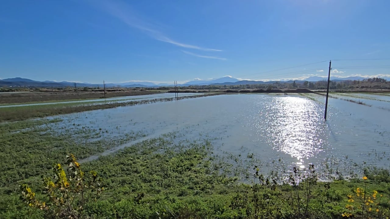 Pasojat e motit të keq në Fier, 80 ha tokë bujqësore ende nën ujë, banorët kërkojnë ndërhyrjen e bashkisë