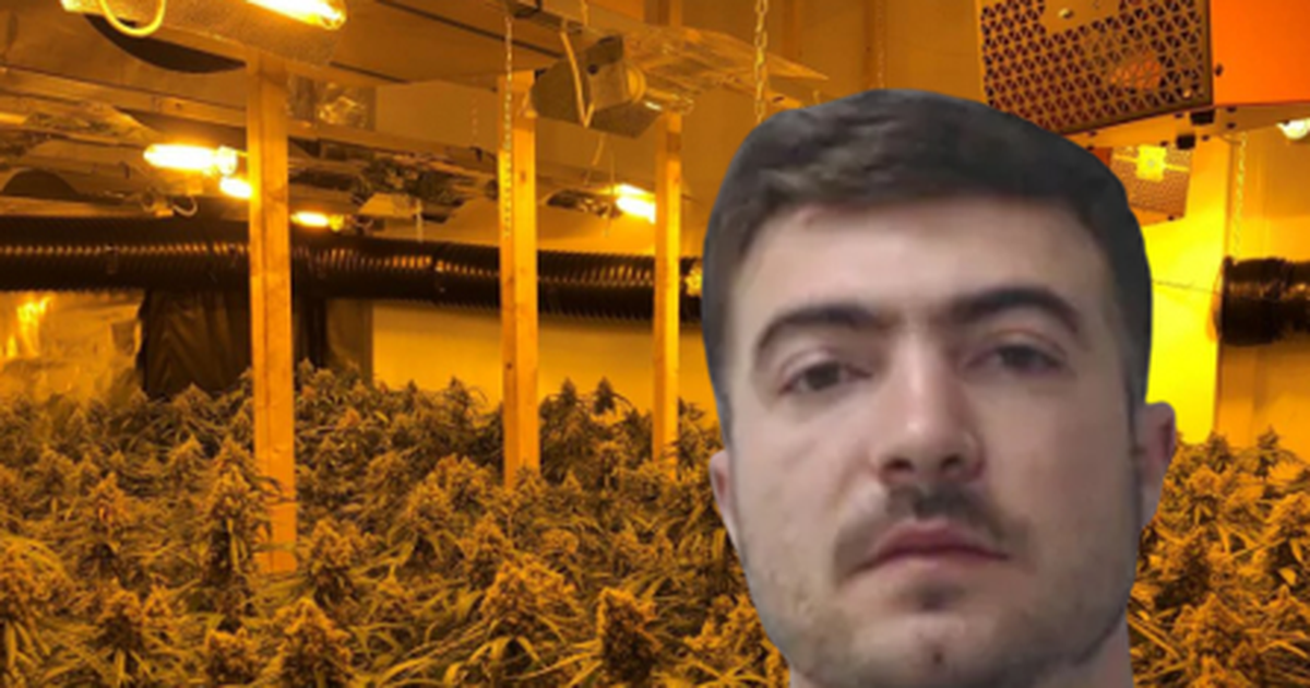 Perandoria 4 mln paund e drogës në Skoci! Shqiptari hiqej si italian për të mbuluar ‘shtëpitë e barit’, dënohet me burg